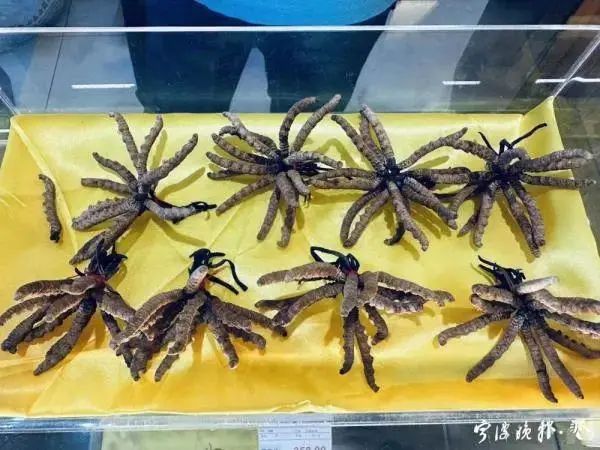 人工种植的冬虫夏草究竟是“仙草”还是“妖草”？(图5)