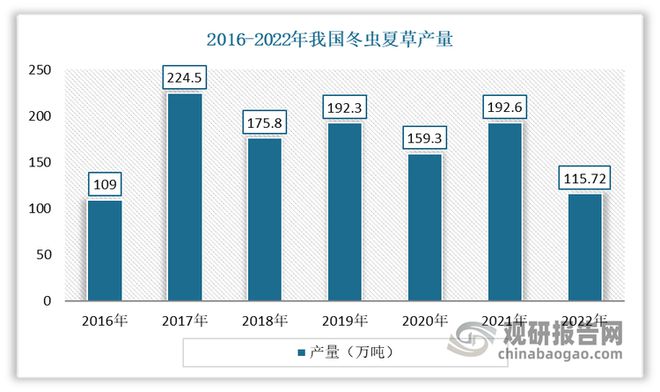 中国冬虫夏草行业发展趋势研究与投资前景报告（2024-2031年）(图1)