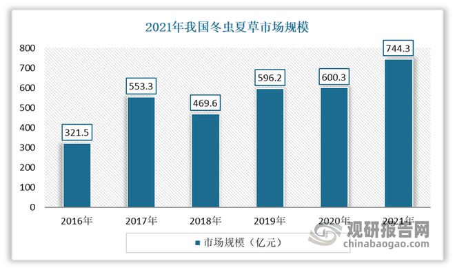 中国冬虫夏草行业发展趋势研究与投资前景报告（2024-2031年）(图4)