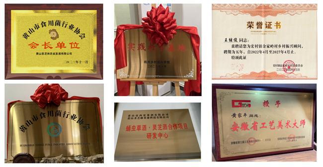 圣芝林：严控全程工艺雕琢每一份优品(图2)