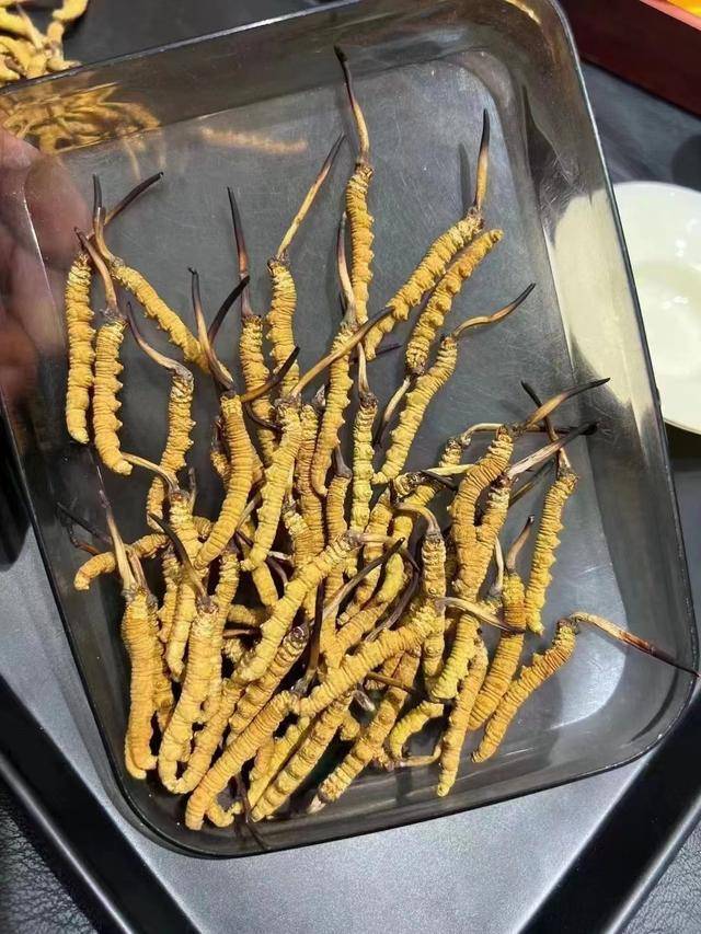 高价回收是诱饵！警惕冬虫夏草回收陷阱(图1)