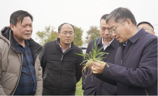 河南优特计划优质小麦专项春季田间管理培训会在息县成功举办(图4)