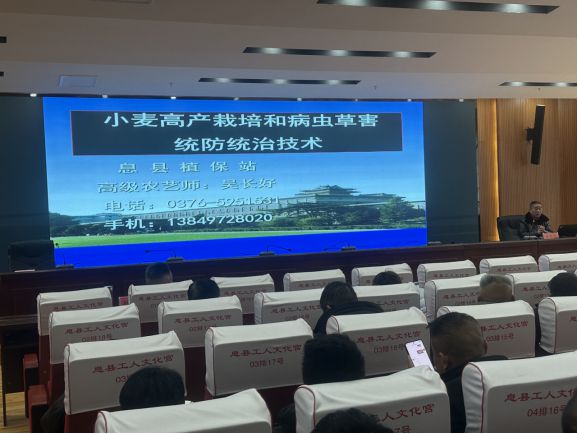 河南优特计划优质小麦专项春季田间管理培训会在息县成功举办(图3)