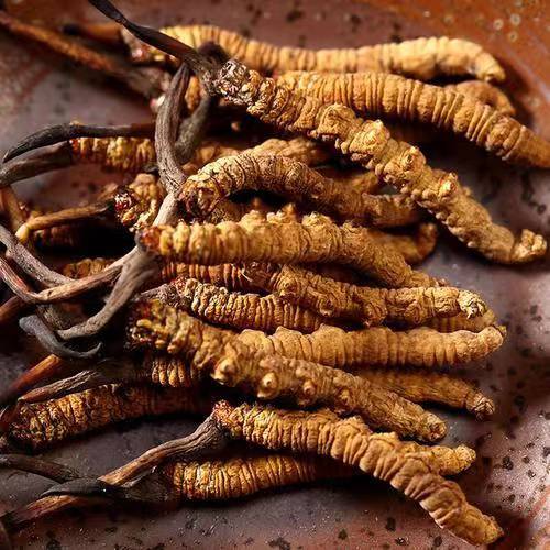 龙头企业连亏四年拟卖壳 食用菌行业格局待重塑(图1)