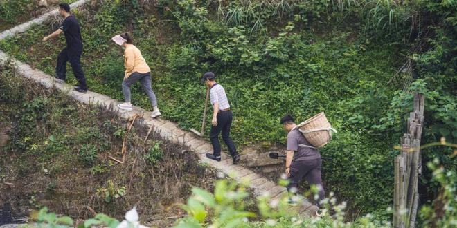 中医、中药如何与现代化接轨？谷医堂科技中医给出了答案(图1)