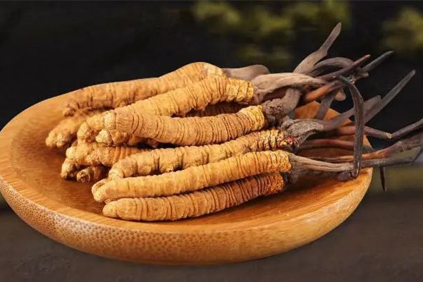 冬虫夏草有养殖的吗 冬虫夏草人工和养殖的区别(图3)
