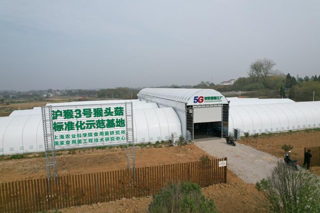 致敬▪企业家丨郁宝锋：菌菇大棚里“长”出高新技术企业(图1)
