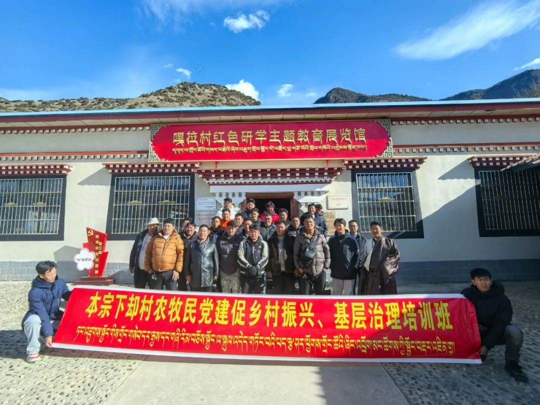 驻村故事分享——米林市卧龙镇本宗下却村第十三批驻村工作队副队(图2)