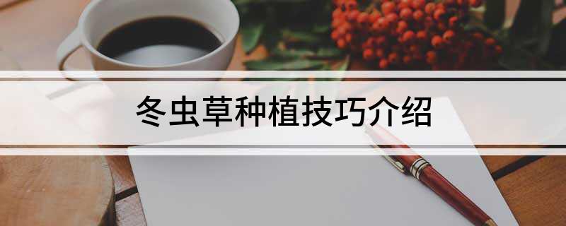 冬虫草种植技巧介绍(图1)