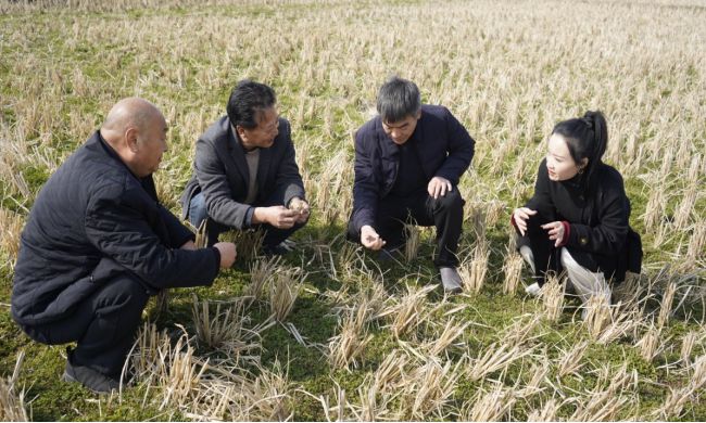 河南优特产业优质草畜专项春管科技服务行动在罗山顺利开展！(图2)