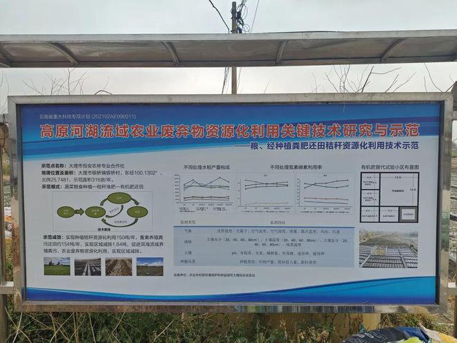 稻香映洱海 绿意富农家——大理市恒安农林专业合作社的生态农业实践(图5)