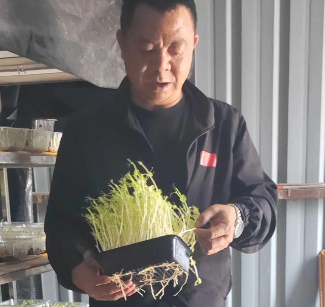 稻香映洱海 绿意富农家——大理市恒安农林专业合作社的生态农业实践(图6)