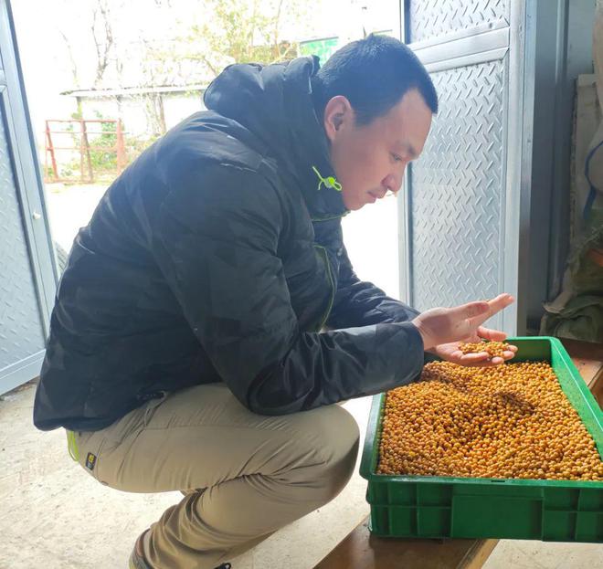 稻香映洱海 绿意富农家——大理市恒安农林专业合作社的生态农业实践(图13)