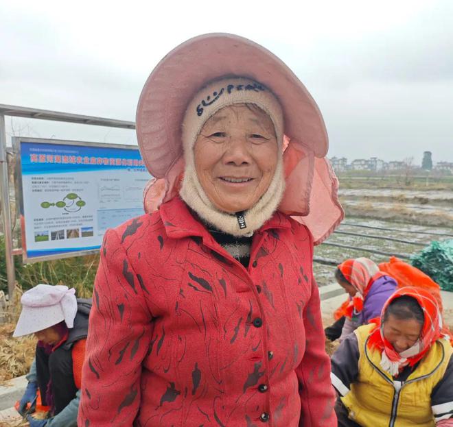 稻香映洱海 绿意富农家——大理市恒安农林专业合作社的生态农业实践(图16)