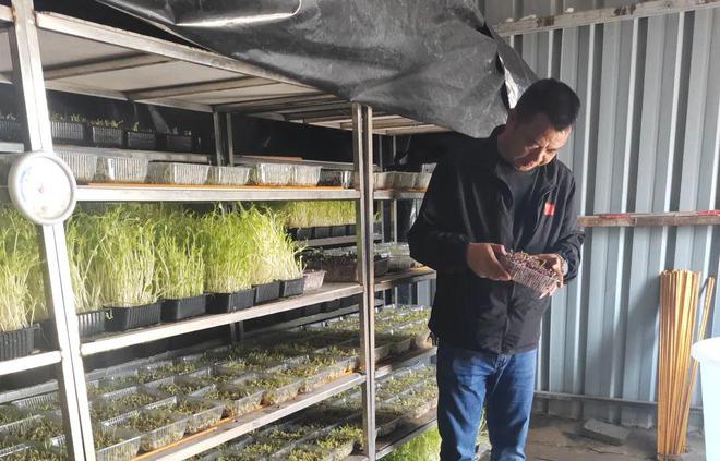 稻香映洱海 绿意富农家——大理市恒安农林专业合作社的生态农业实践(图17)