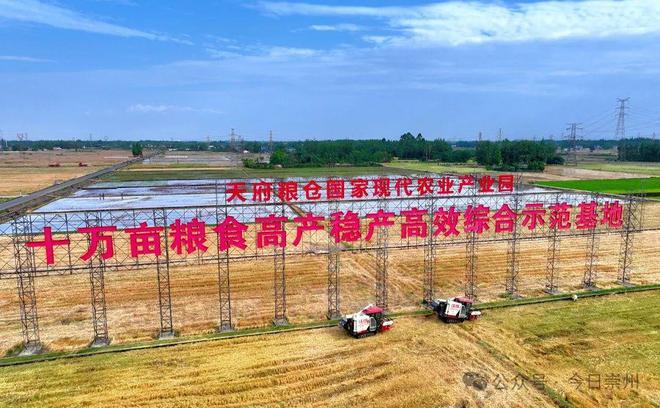 人工 vs AI谁更强？我们拭目以待！(图5)