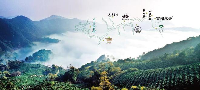 专业采购指南 第七届中国国际茶叶博览会优选展团之浙江省(图5)