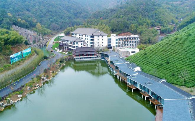 专业采购指南 第七届中国国际茶叶博览会优选展团之浙江省(图3)