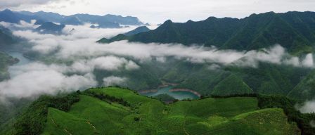 专业采购指南 第七届中国国际茶叶博览会优选展团之浙江省(图18)