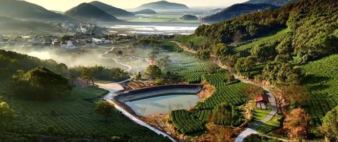 专业采购指南 第七届中国国际茶叶博览会优选展团之浙江省(图20)