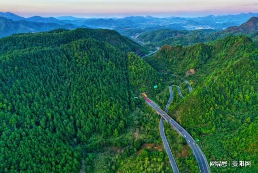 首次监测到珍稀虫草！贵阳这样守护生物“多样”精彩(图5)