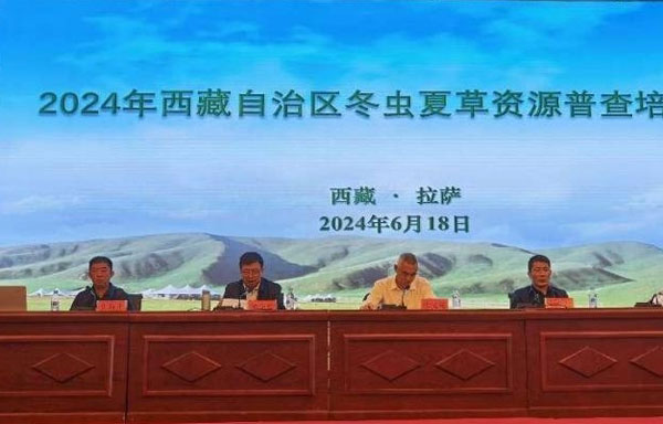 西藏建成覆盖率98%的村寄递物流网络(图1)