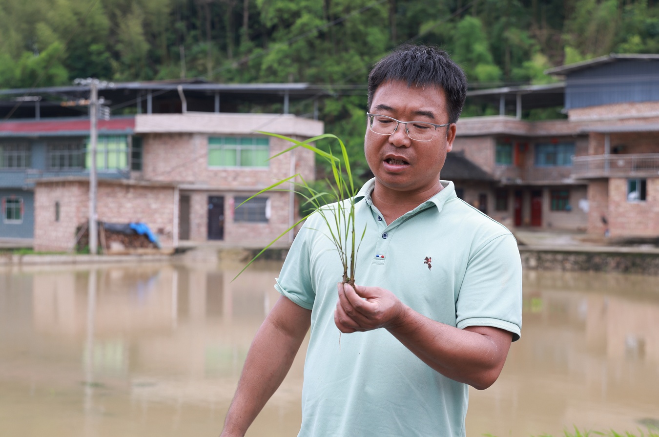 贵州施秉：田间来了个“农博士”(图2)