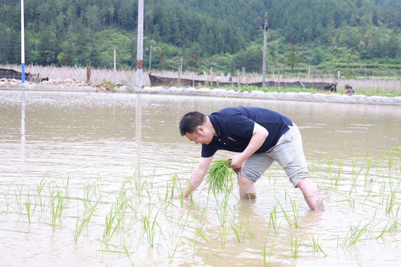 贵州施秉：田间来了个“农博士”(图3)