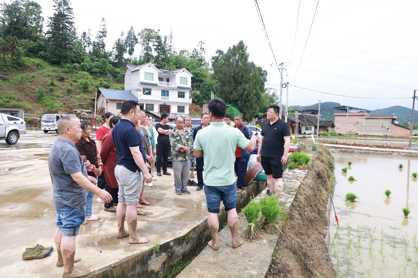 贵州施秉：田间来了个“农博士”(图4)