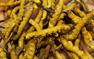 吴其方在深入贯彻中央八项规定精神学习教育期间顶风违纪(图1)