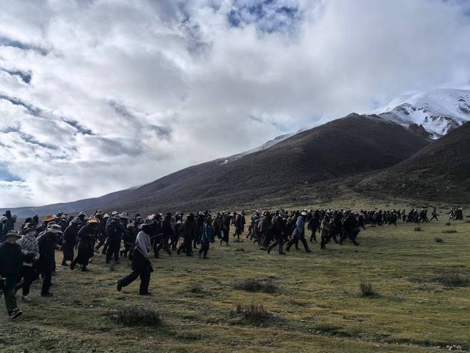 遥遥领先！谷医世家冬虫夏草腺苷含量超过国家标准5倍！(图3)