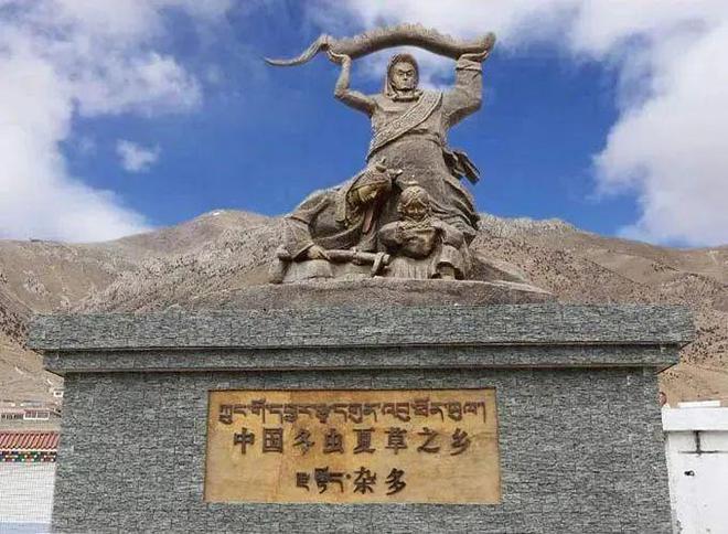 别再乱买虫草了加微信才知道源头虫草直供都是一手价！(图1)