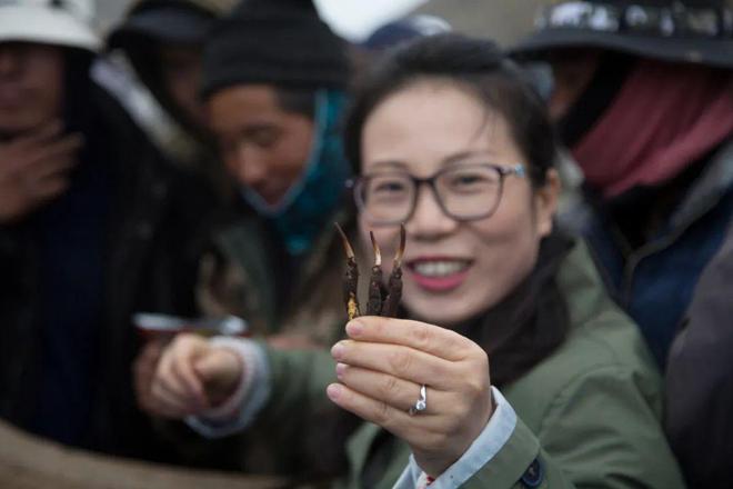 别再乱买虫草了加微信才知道源头虫草直供都是一手价！(图3)