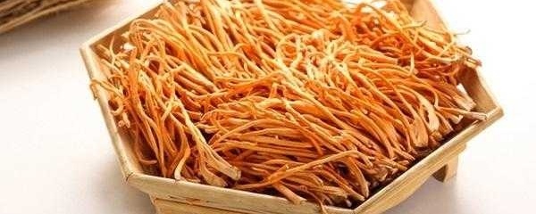 虫草怎么养殖_虫草的养殖技巧(图1)