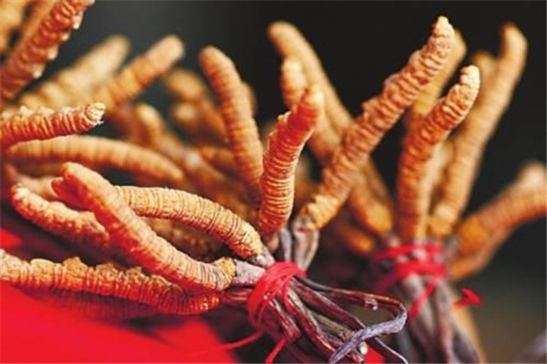 高原森林康养产业：门源的奇迹与未来(图1)