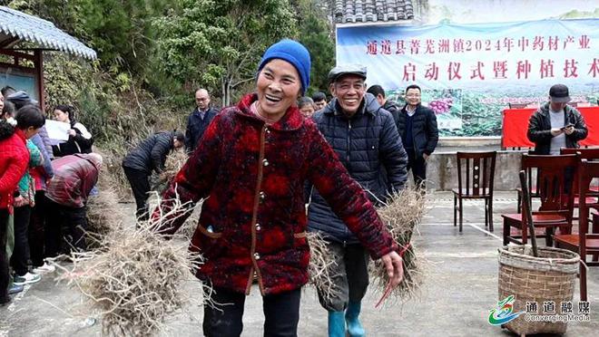 国务院出手整治中药全链条！最终目标：种药像种粮假药无处藏！(图5)