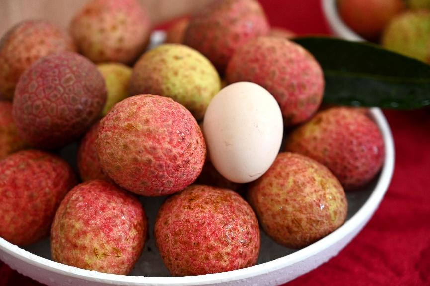 比鸡蛋还大的荔枝！华农“仙桃荔”甜爆上新保鲜期一个月(图1)