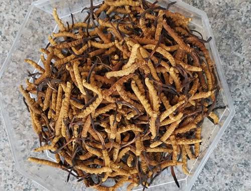 激活内生动力 锻造新质生产力高原样本(图1)