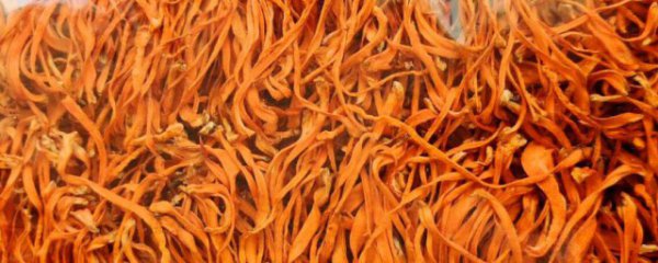 潍坊昌邑春耕启航：如何在粮食生产“第一仗”中实现高质量发展？(图1)