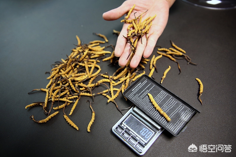 后市冬虫夏草行情是否继续下滑？(图4)