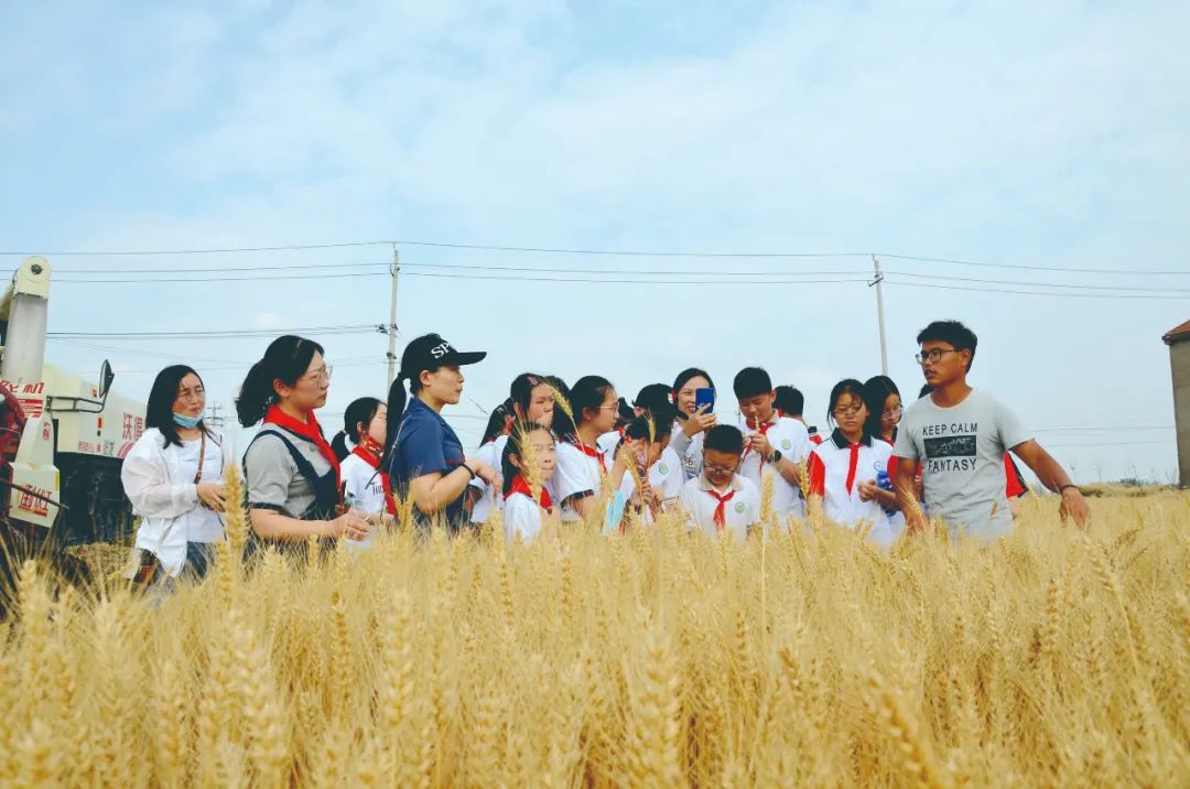 王雨森：青春逐梦沃野(图1)