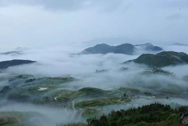 【必藏版采购指南】浙里茗香·太原绽放！华巨臣太原茶博会浙江省展团必买！(图10)