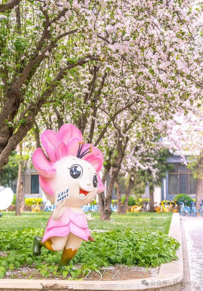 进校预约开启！130岁的天大邀您共赏海棠！(图5)