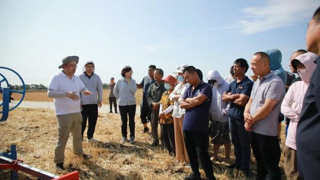 感知山东 省专家组到淄博市开展田间课堂 精准指导助力秋粮生产(图2)