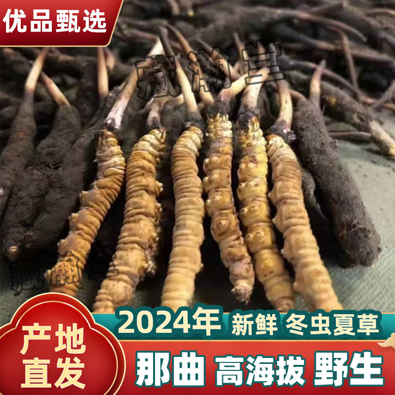 关于2024年度“种草·喜马拉雅”人工牧草种植项目公开征集评估结果的公示(图1)