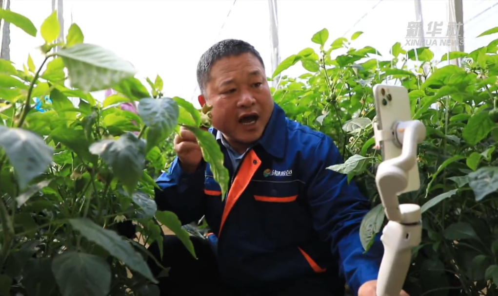春耕向“新”提质大地焕发新活力(图5)