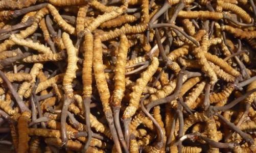 春管春耕由南向北有序推进全国春播粮食面积超1亿亩(图1)