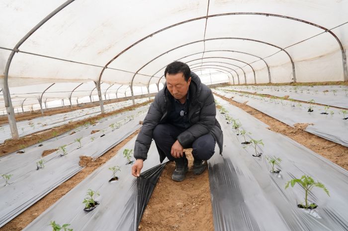 皋兰：田间地头藏着农业新质生产力密码(图3)
