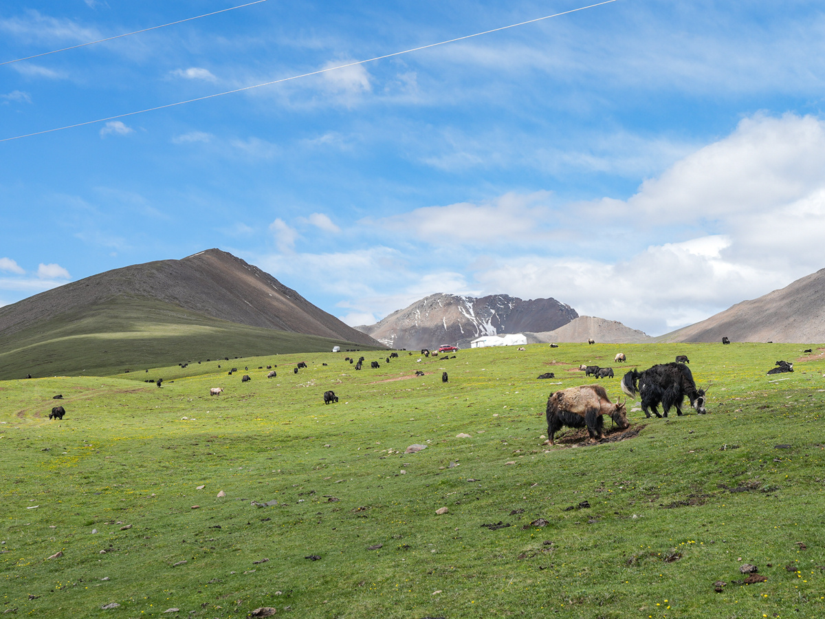 央媒看四川丨生活在海拔4800米的夏牧场——四川石渠县牧民尼美多吉的帐篷畅想(图4)