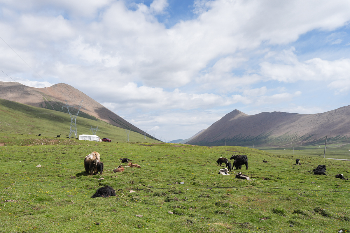 央媒看四川丨生活在海拔4800米的夏牧场——四川石渠县牧民尼美多吉的帐篷畅想(图6)